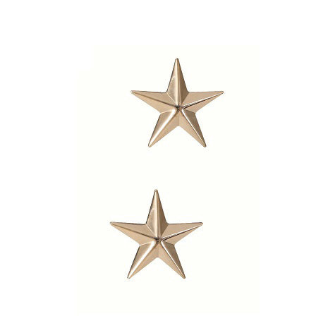 Brigadier general insignia pin