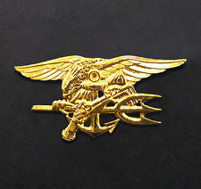 NS TRIDENT GOLD PIN